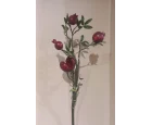 Koçaklar Yapay 5*Lİ Açık Nar
