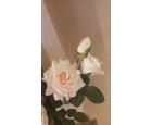 Koçaklar Yapay Allıklı 3*LÜ Islak Gül 73CM