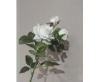Koçaklar Yapay Beyaz 3*LÜ Islak Gül 73CM