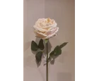 Koçaklar Yapay Beyaz Islak Şakayık 45CM