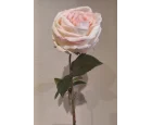 Koçaklar Yapay Toz Pembe Islak Şakayık 45CM