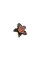 Mikasa Moor Kahve Somon Çiçek Cam Dek 12x11cm