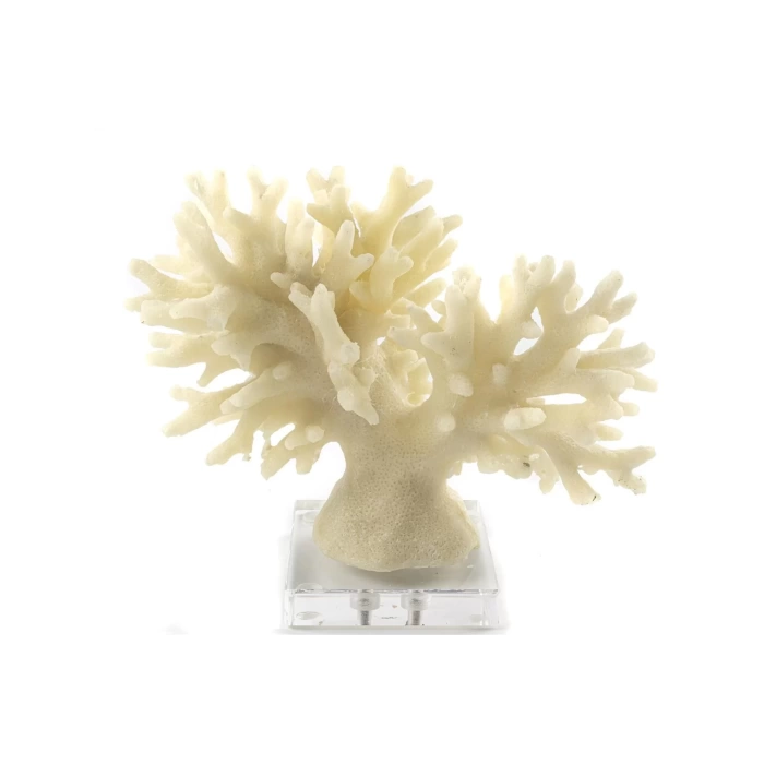 Mikasa Moor Beyaz Mercan Resin Obje 19x11x17cm