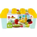 LEGO® DUPLO® İlk Organik Bahçe 10984 -(43 Parça)