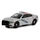 Greenlight 1/64 2019 Dodge Charger