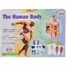 Oyuncak Vucudumu Öğreniyorum Eğitici Set