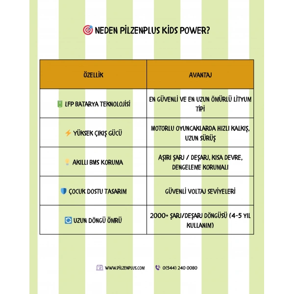Pilzenplus Kids Power 6V 6Ah LiFePO₄ Batarya