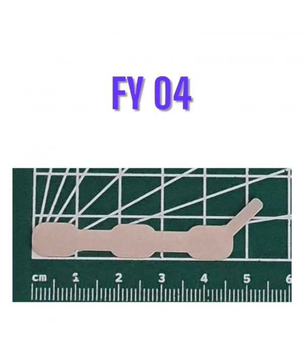 FY04 Şekilli Nikel (10gr)