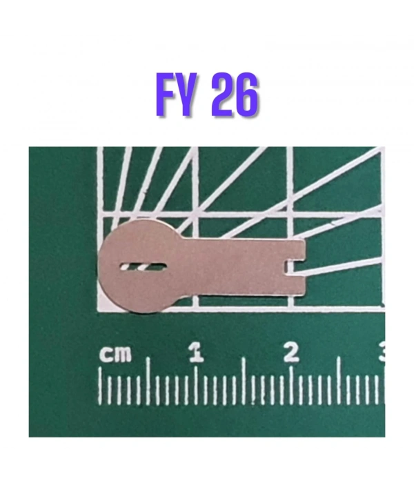 FY26 Şekilli Nikel (10gr)
