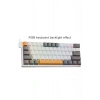Z-11 RGB Brown Switch İngilizce Q Full Anti Ghosting Mekanik Oyuncu Klavyesi (Beyaz-Gri-Turuncu Tuşlar)