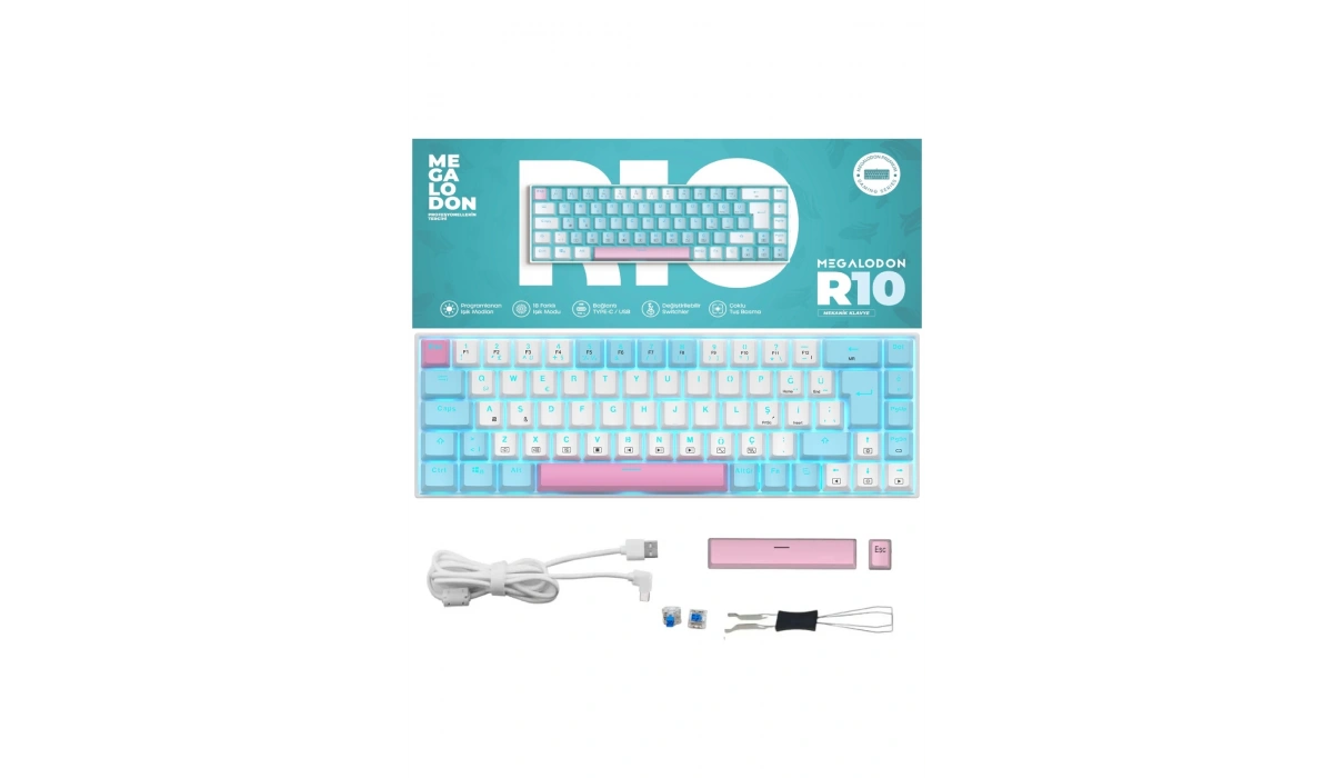 R10 Mekanik Klavye Full Anti-Ghosting Hot Swap Blue Switch Oyuncu Klavyesi (Türkçe) Buz Mavisi Işık