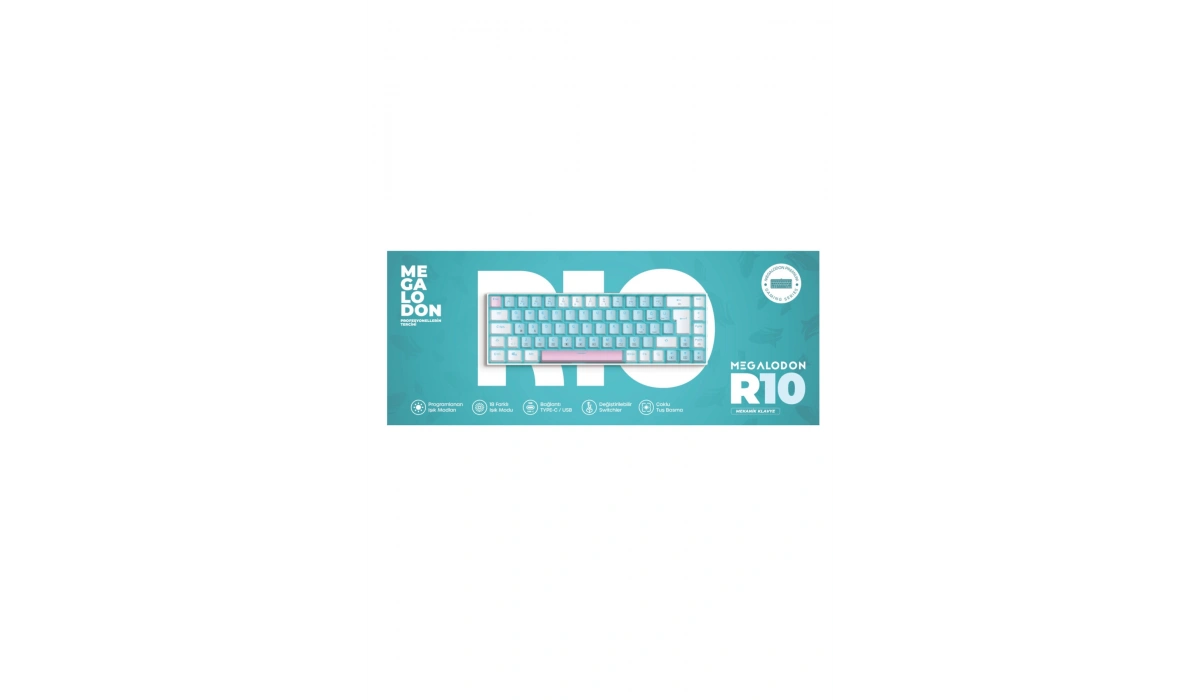 R10 Mekanik Klavye Full Anti-Ghosting Hot Swap Blue Switch Oyuncu Klavyesi (Türkçe) Buz Mavisi Işık