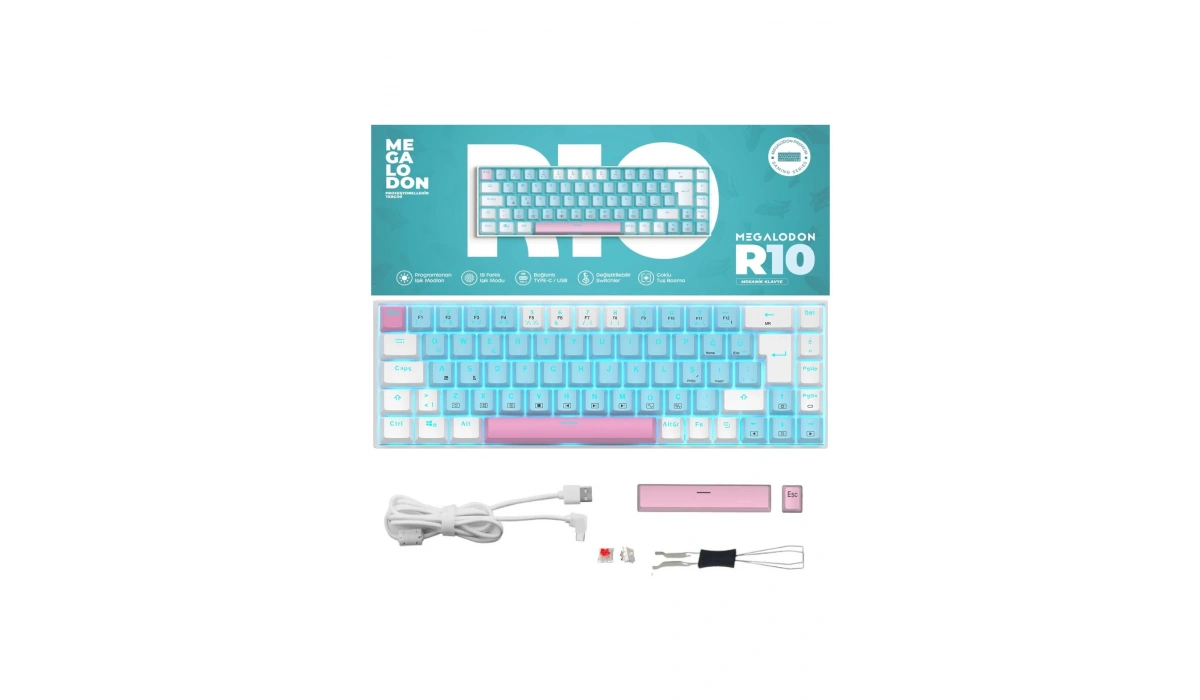 Red Switch R10 Mekanik Oyuncu Klavyesi Full Anti-Ghosting Türkçe Q Mini Işıklı Kablolu Klavye