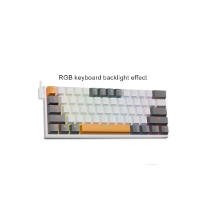 Z-11 RGB Brown Switch İngilizce Q Full Anti Ghosting Mekanik Oyuncu Klavyesi (Beyaz-Gri-Turuncu Tuşlar)