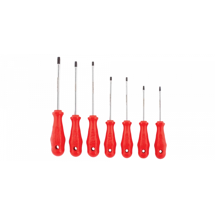 DELİKLİ TORX UÇLU TORNAVİDA SETİ 7 PARÇA