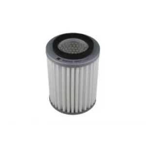 CARRY HAVA FİLTRESİ SK410