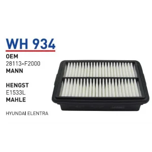 ELANTRA HAVA FİLTRESİ 16/20-İ30 HAVA FİLTRESİ 16/19 (28113-F2000)