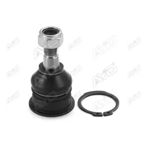 PRİMERA ALT ROTİL R/L