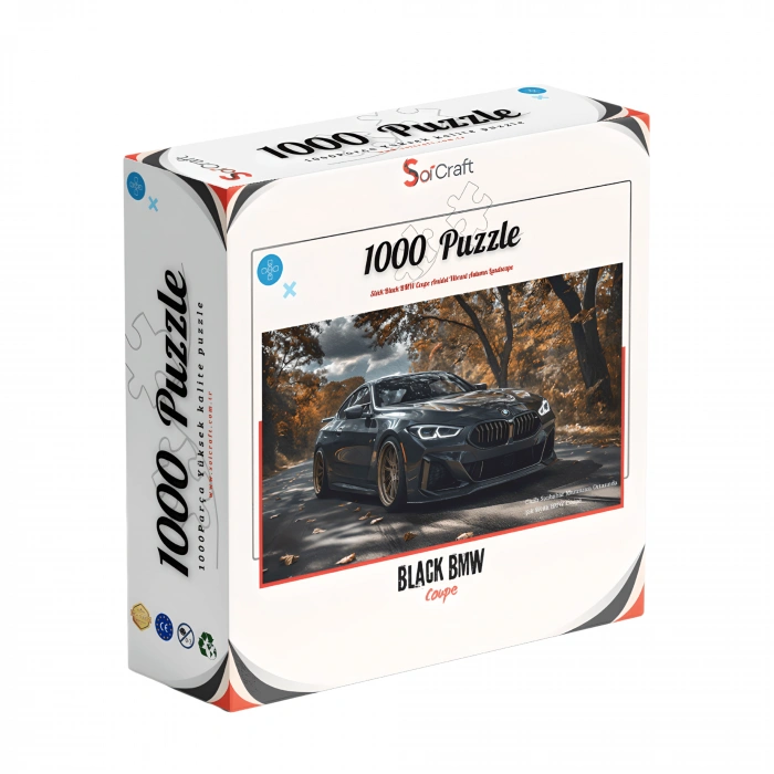 Asfaltın Karanlık Prensi: Black BMW Coupe