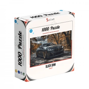 Asfaltın Karanlık Prensi: Black BMW Coupe