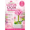 Mikro Blok Lotus Çiçek Lego - Lego Setleri Mini Lego - Çiçek Lego - Blossom Çiçek Lego