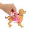 Barbie ve Köpekçiğin Yürüyüş Zamanı JJB46 - Barbie Oyuncak Barbie Bebek