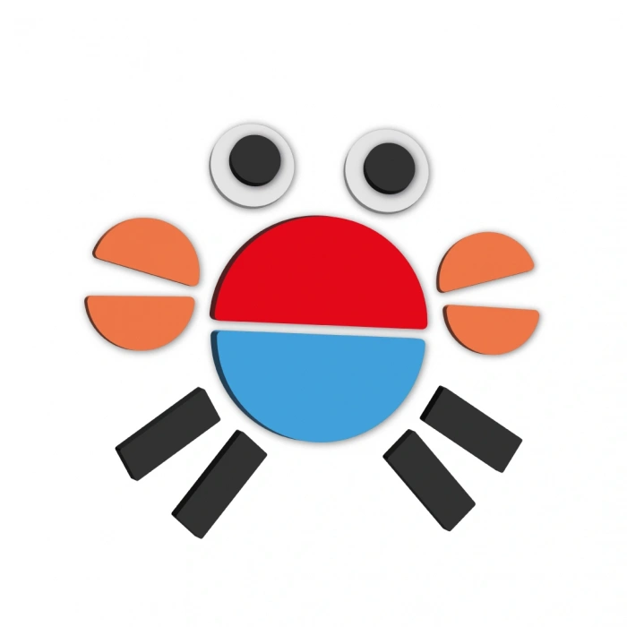 Redka Pangram Daireler - Redka Tangram Oyunu - Akıl ve Zeka Oyunu - Görsel Zeka Oyunu