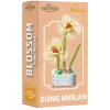 Mikro Blok Kristal Song Meilan Çiçek Lego - Lego Setleri Mini Lego - Çiçek Lego - Blossom Çiçek Lego