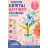 Mikro Blok Kristal Narenciye Çiçek Lego - Lego Setleri Mini Lego - Çiçek Lego - Blossom Çiçek Lego