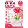 Mikro Blok Şakayık Çiçek Lego - Lego Setleri Mini Lego - Çiçek Lego - Blossom Çiçek Lego