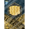 Panini FIFA 365 Adrenalyn XL 2025 Premium Gold Kart 3 Paket - Futbolcu Kartları - Gold Trading Oyuncu Kartı Panini Premium Kartlar