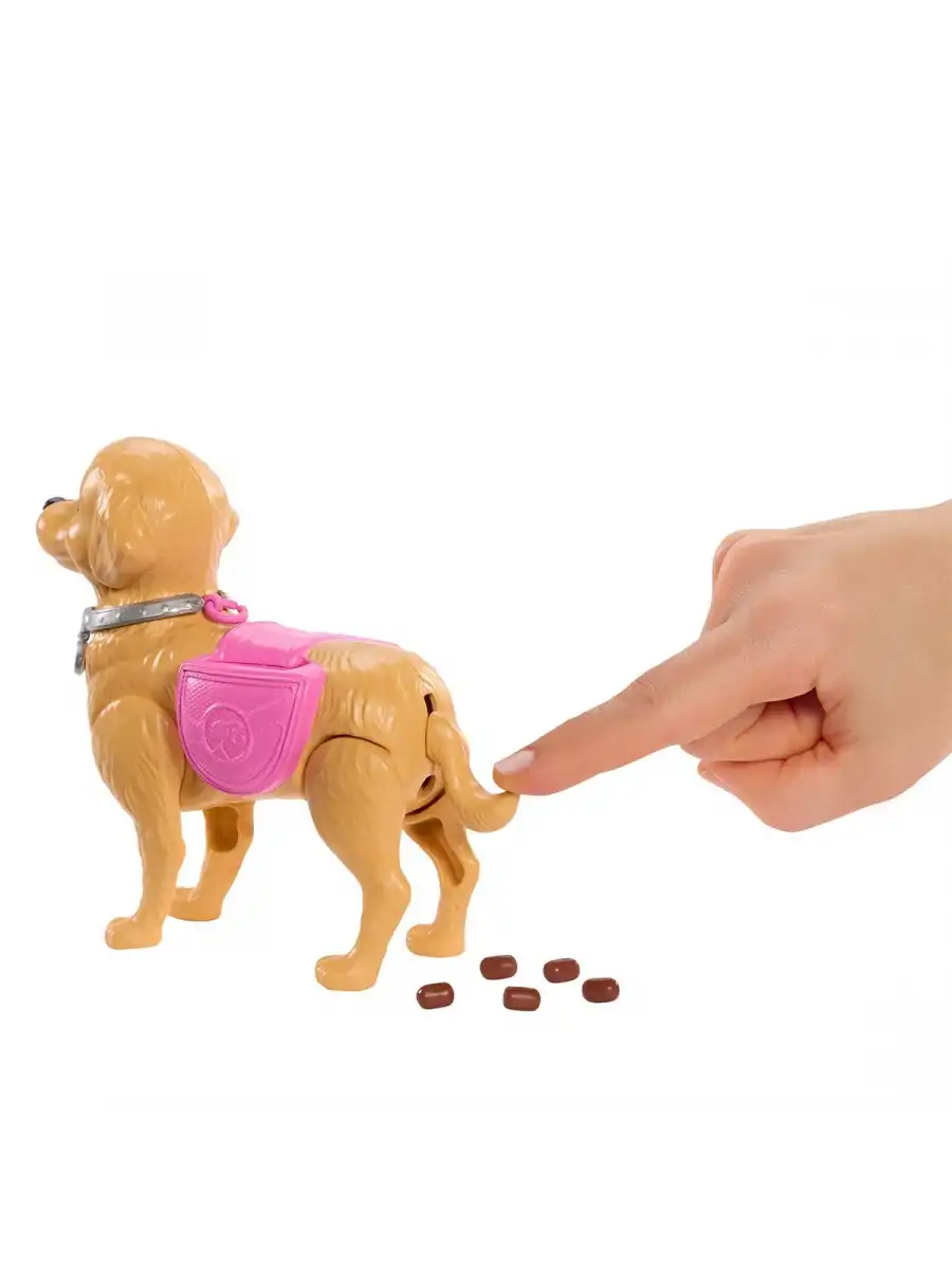 Barbie ve Köpekçiğin Yürüyüş Zamanı JJB46 - Barbie Oyuncak Barbie Bebek