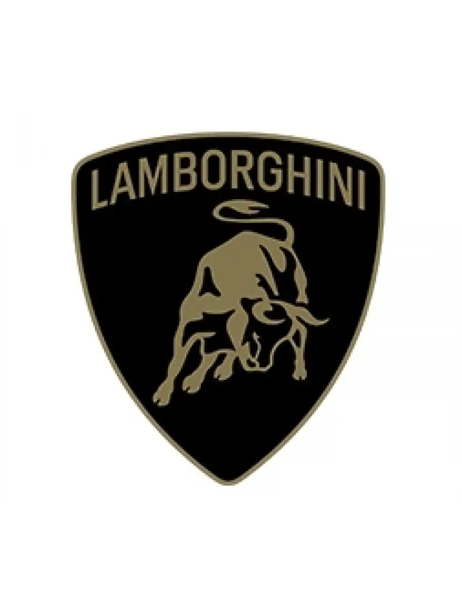 Rastar Lamborghini Sian 1:24 Uzaktan Kumandalı Araba - RC Araba