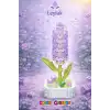 Mikro Blok Leylak Çiçek Lego - Lego Setleri Mini Lego - Çiçek Lego - Blossom Çiçek Lego