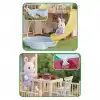 Doğa Ailesi Yaz Evi Havuzlu Oyuncak Ev - Tavşan Ailesi Oyun Evi Tavşan Tatil Evi Sylvanian Evi