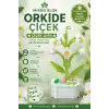 Mikro Blok Orkide Çiçek Lego - Lego Setleri Mini Lego - Çiçek Lego - Blossom Çiçek Lego
