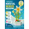 Mikro Blok Kristal Nergis Çiçek Lego - Lego Setleri Mini Lego - Çiçek Lego - Blossom Çiçek Lego