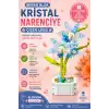 Mikro Blok Kristal Narenciye Çiçek Lego - Lego Setleri Mini Lego - Çiçek Lego - Blossom Çiçek Lego
