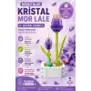 Mikro Blok Kristal Mor Lale Çiçek Lego - Lego Setleri Mini Lego - Çiçek Lego - Blossom Çiçek Lego
