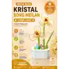Mikro Blok Kristal Song Meilan Çiçek Lego - Lego Setleri Mini Lego - Çiçek Lego - Blossom Çiçek Lego