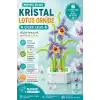 Mikro Blok Kristal Lotus Orkide Çiçek Lego - Lego Setleri Mini Lego - Çiçek Lego - Blossom Çiçek Lego
