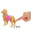 Barbie ve Köpekçiğin Yürüyüş Zamanı JJB46 - Barbie Oyuncak Barbie Bebek