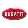 Rastar Bugatti Chiron 1:24 Uzaktan Kumandalı Araba - RC Araba