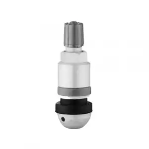 SGL011 TPMS SUPAP