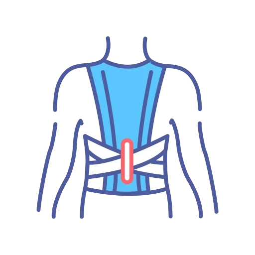 Wakor - Korse Çeşitleri