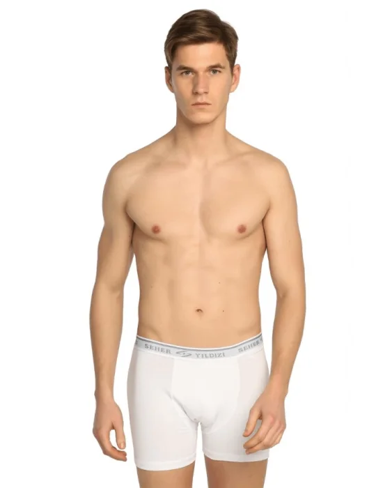 Seher Erkek Elastan Boxer
