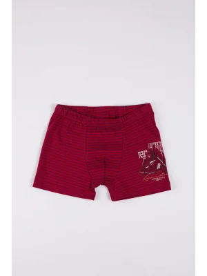 BERRAK 1577 ERKEK ÇOCUK BOXER