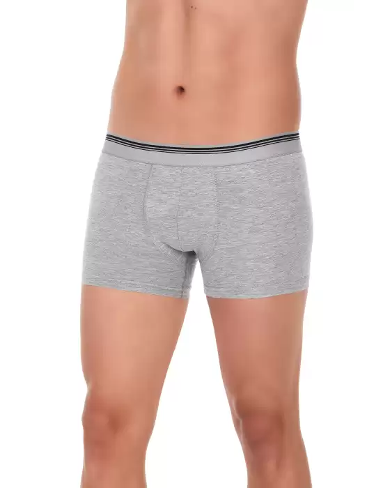 Yıldız Likralı Formen Boxer Gri