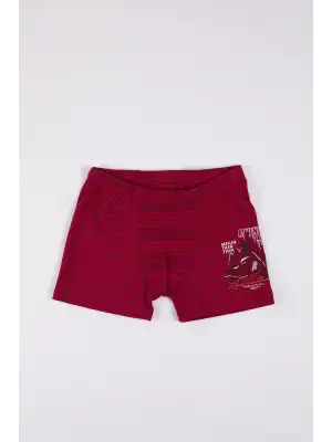 BERRAK 1577 ERKEK ÇOCUK BOXER