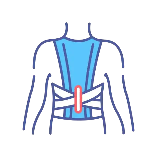Wakor - Korse Çeşitleri